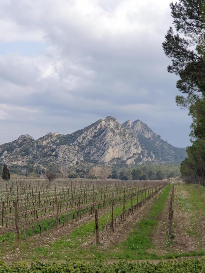 Les Estrelles Lägenhet Saint-Rémy-de-Provence Exteriör bild